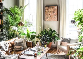 Kaip prižiūrėti augalus namuose?