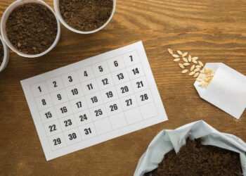 Sodinimo kalendorius – kada ir kokius augalus sodinti?